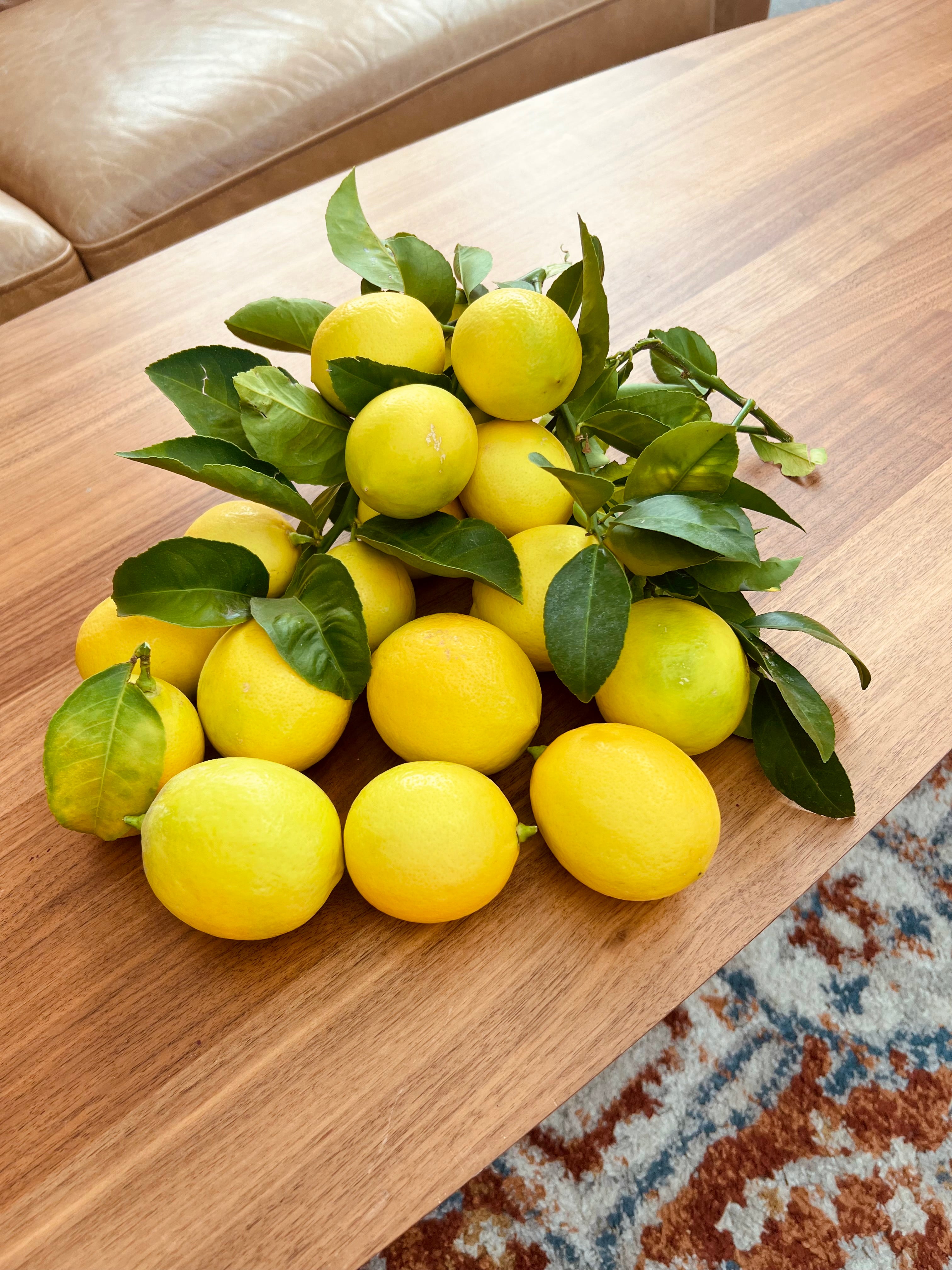 Organic Meyer Lemons 4 LBS