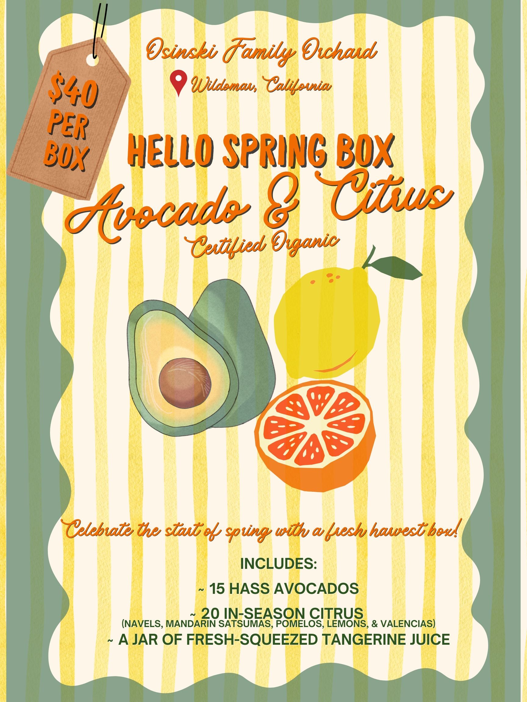 Hello Spring Box 2026