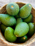 2027 Pre-Harvest Special! Hass Avocado Box