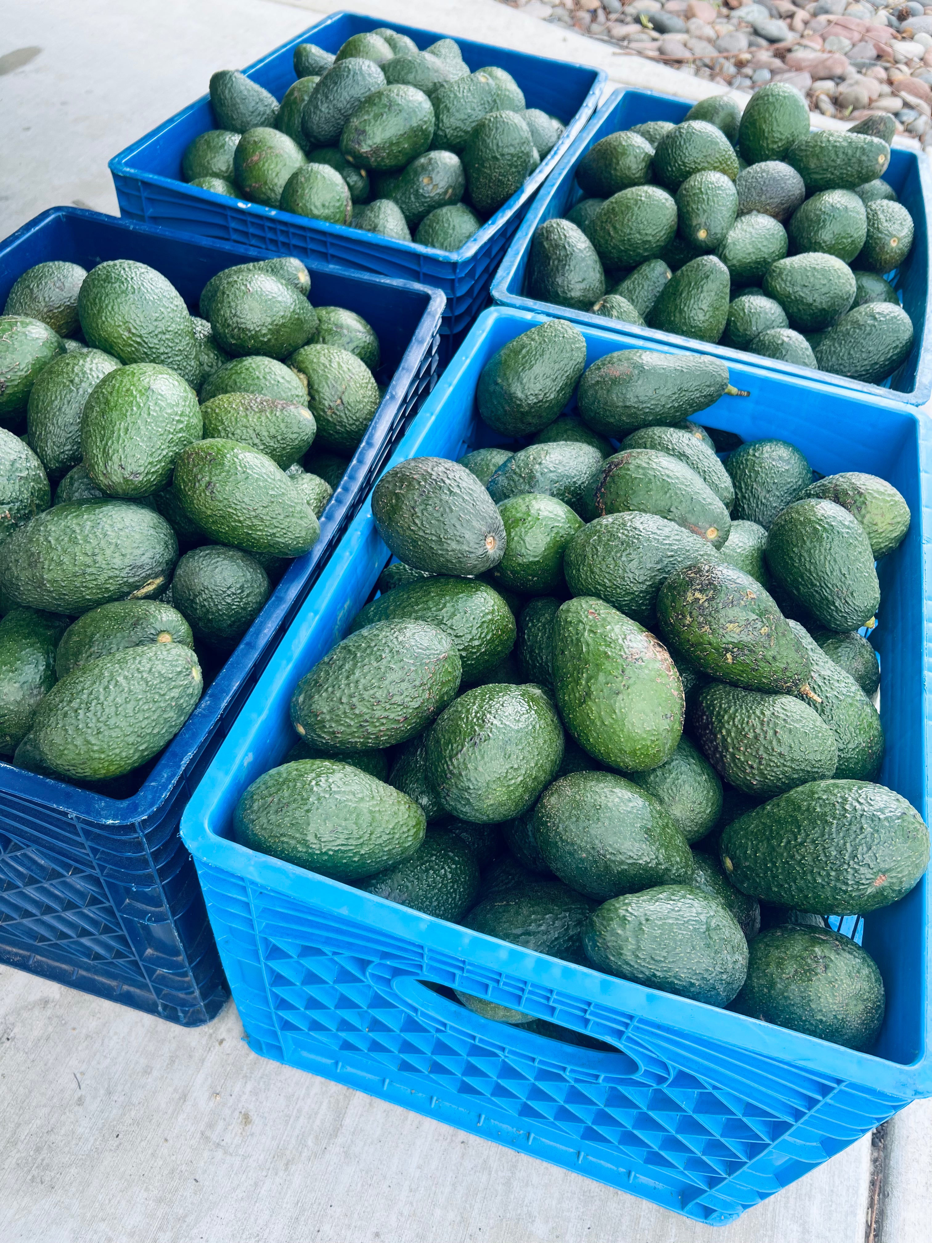 Hello Spring Box 2026