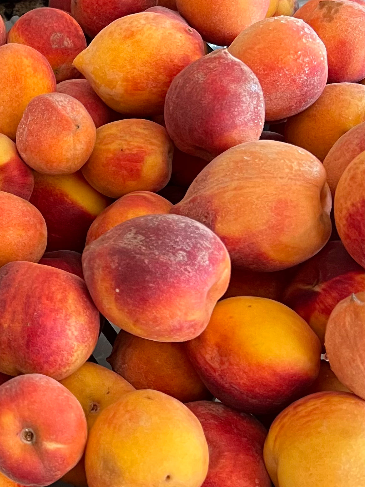 Pre-Harvest Special! 8-pack Peaches