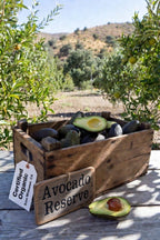 Wildomar "Reserve" Small Batch Avocados